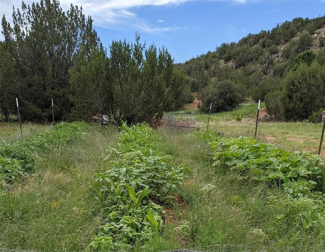 626 County Road B36, Ribera, NM 87560 - photo 12