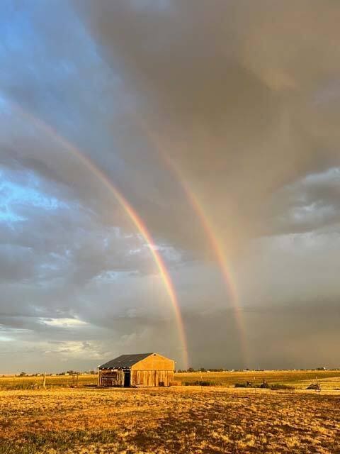 300 Thompson, Moriarty, NM 87035 - view of yard with an outbuilding