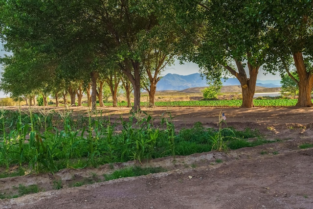 26 Schmittle Rd, Socorro, NM 87801 - photo 16