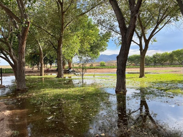 26 Schmittle Rd, Socorro, NM 87801 - photo 12