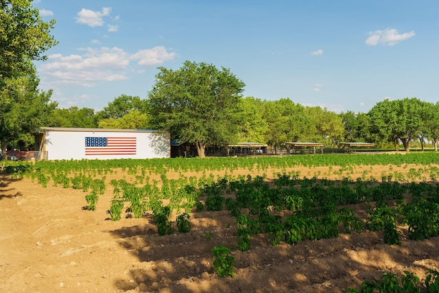 26 Schmittle Rd, Socorro, NM 87801 - photo 11