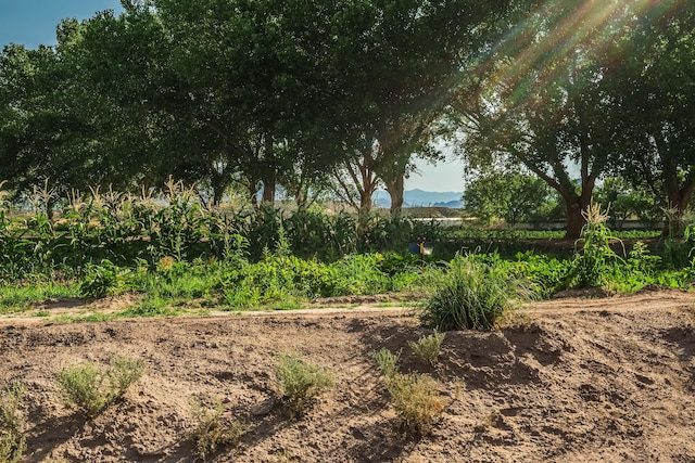 26 Schmittle Rd, Socorro, NM 87801 - photo 29