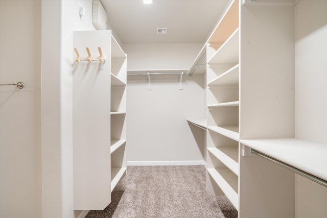 205 Silent Spring Dr NE, Rio Rancho, NM 87124 - walk in closet featuring carpet flooring