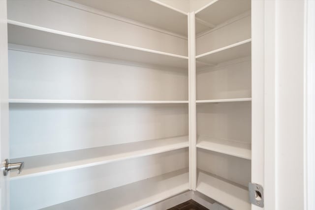 205 Silent Spring Dr NE, Rio Rancho, NM 87124 - view of pantry