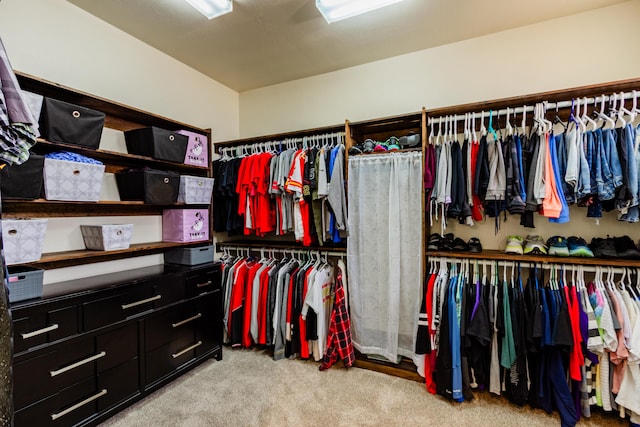 930 Titus Loop, Bosque Farms, NM 87068 - spacious closet featuring light colored carpet