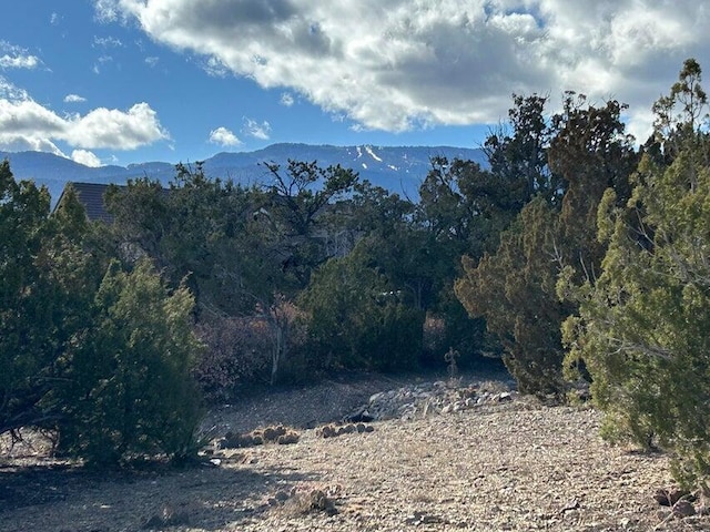 2 Zia Ct, Sandia Park, NM 87047