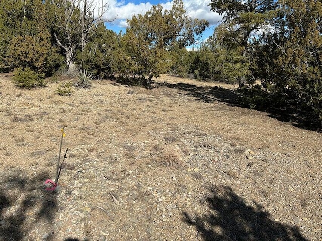 2 Zia Ct, Sandia Park, NM 87047