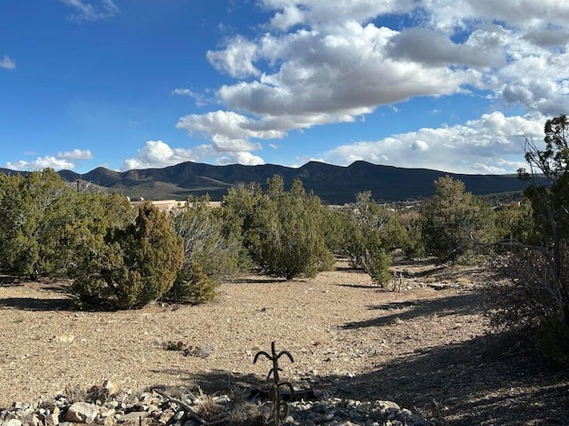 2 Zia Ct, Sandia Park, NM 87047