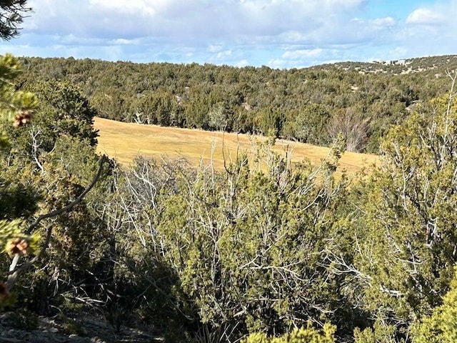 2 Zia Ct, Sandia Park, NM 87047