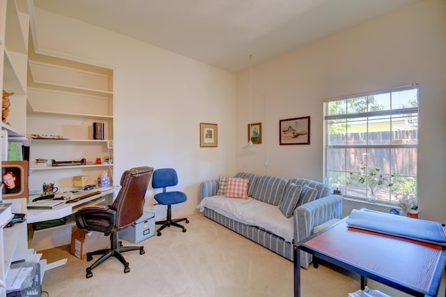 6749 Kelly Ann Rd NE, Albuquerque, NM 87109 - office space with carpet