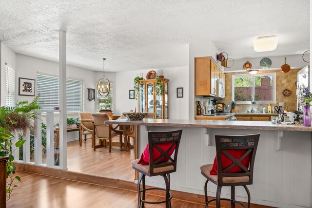6437 Concordia Rd NE, Albuquerque, NM 87111 - photo 17