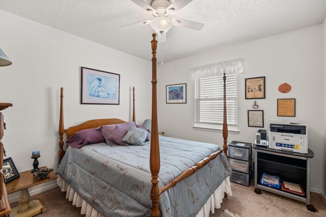 6437 Concordia Rd NE, Albuquerque, NM 87111 - photo 15