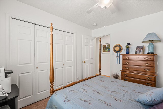 6437 Concordia Rd NE, Albuquerque, NM 87111 - photo 14