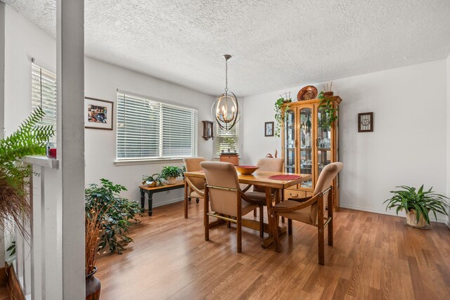 6437 Concordia Rd NE, Albuquerque, NM 87111 - photo 10
