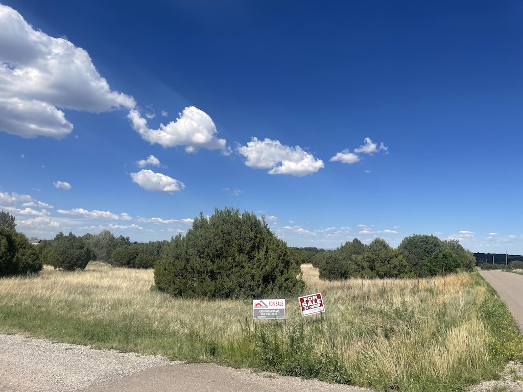 40 Rohrer Pl, Tijeras, NM 87059 - photo 1