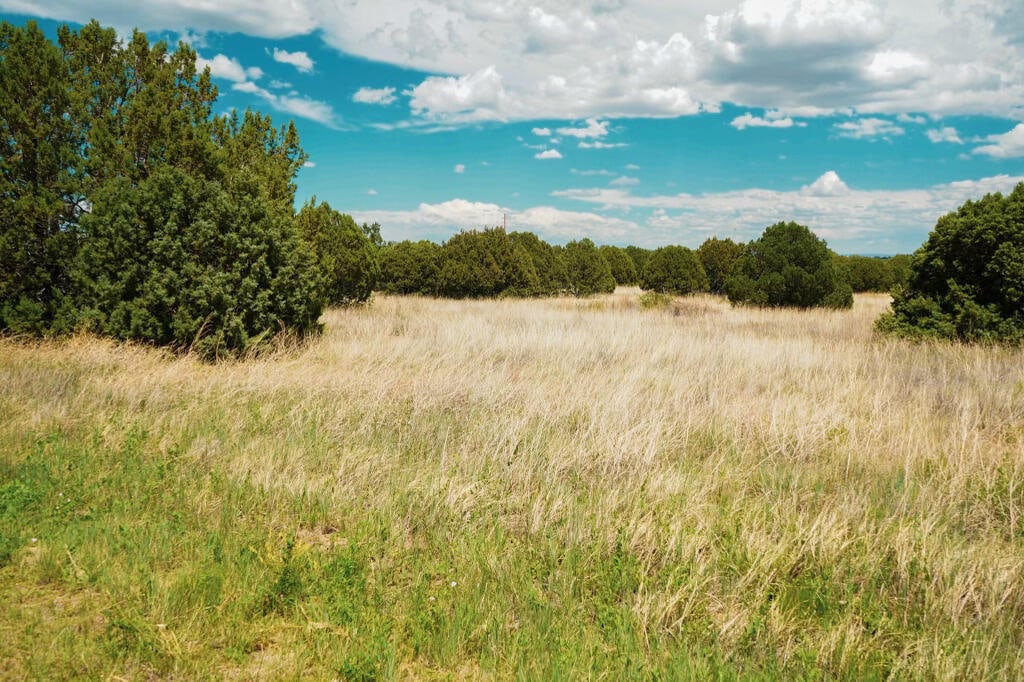 40 Rohrer Pl, Tijeras, NM 87059 - photo 3