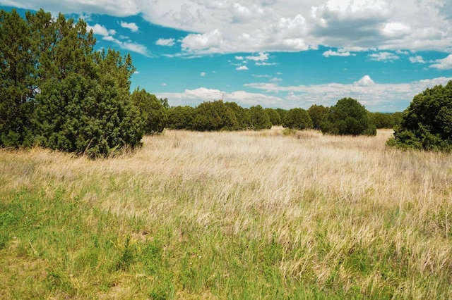 40 Rohrer Pl, Tijeras, NM 87059 - photo 3