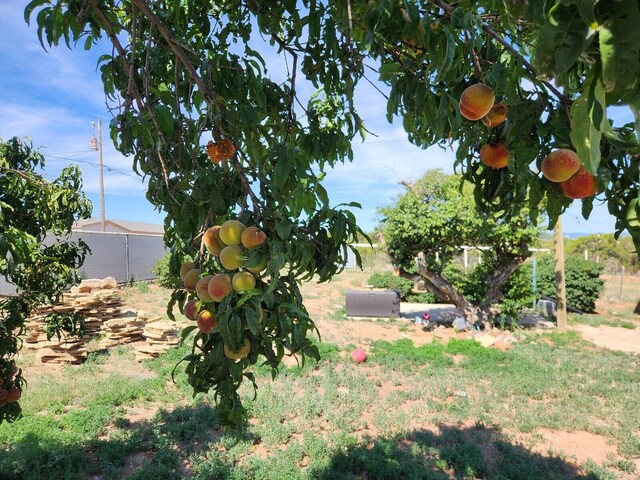 19 Pinon Rd, Edgewood, NM 87015 - photo 43