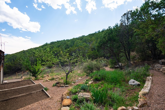 23 Cooper Rd, Cedar Crest, NM 87008 - view of yard featuring a garden and a view of trees