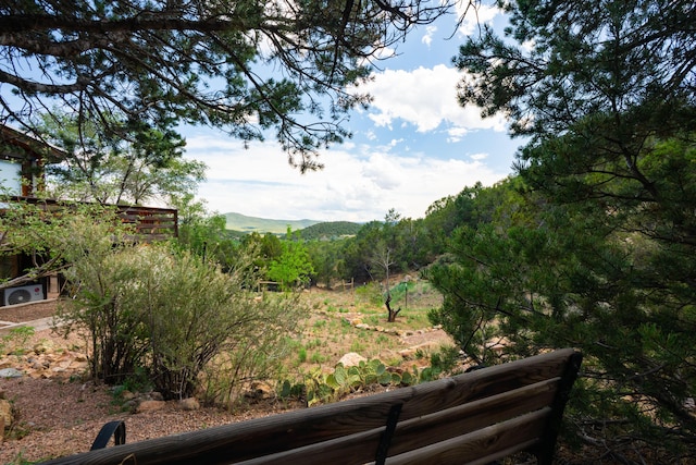 23 Cooper Rd, Cedar Crest, NM 87008 - view of yard with a mountain view