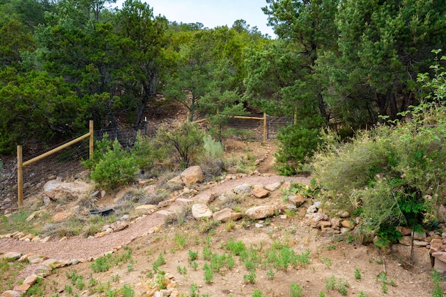 23 Cooper Rd, Cedar Crest, NM 87008 - view of wooded area