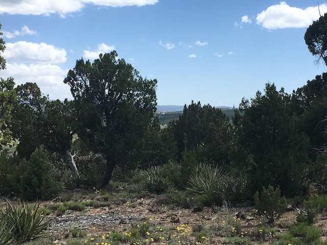 46 Los Suenos, Sandia Park, NM 87047 - photo 6