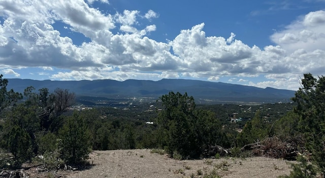 46 Los Suenos, Sandia Park, NM 87047 - photo 4