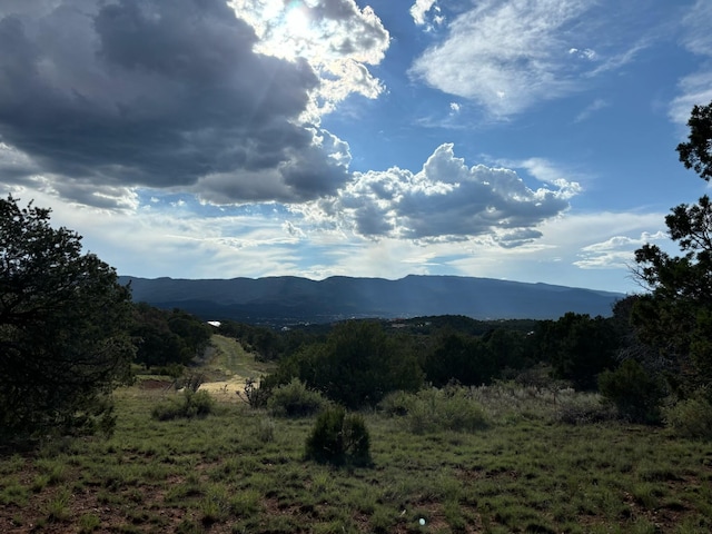46 Los Suenos, Sandia Park, NM 87047 - photo 3