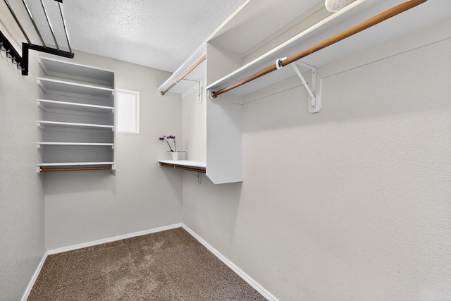 2353 Cortina Loop SE, Rio Rancho, NM 87124 - walk in closet featuring dark carpet