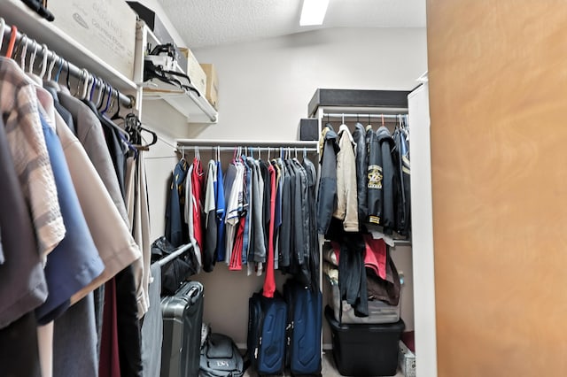 8500 Clarks Fork Rd NW, Albuquerque, NM 87120 - walk in closet with vaulted ceiling