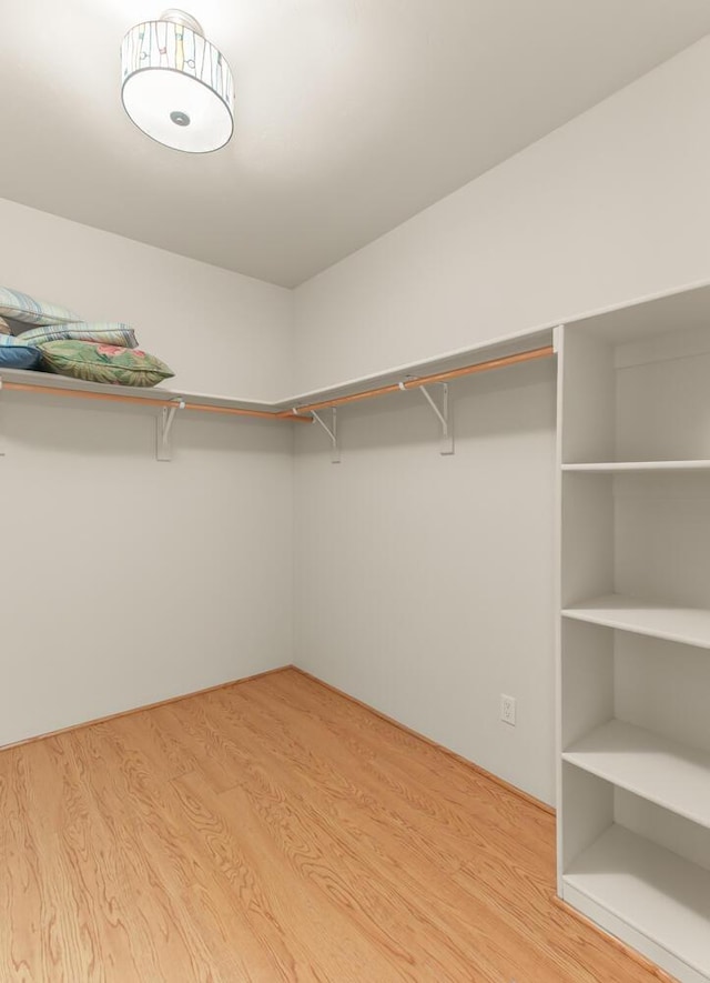 31 Wind Rd NW, Albuquerque, NM 87120 - walk in closet with light wood-style floors