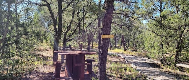27 Paseo De Paz, Tijeras, NM 87059 - photo 47