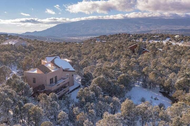 27 Paseo De Paz, Tijeras, NM 87059 - photo 46
