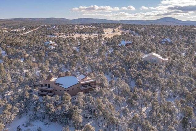27 Paseo De Paz, Tijeras, NM 87059 - photo 45