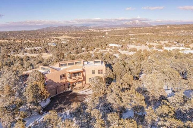 27 Paseo De Paz, Tijeras, NM 87059 - photo 44