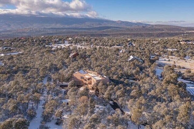 27 Paseo De Paz, Tijeras, NM 87059 - photo 42
