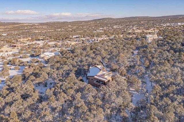 27 Paseo De Paz, Tijeras, NM 87059 - photo 41