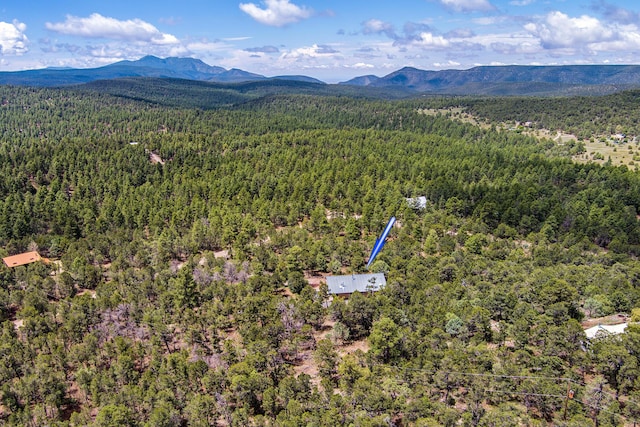 109 Carolino Canyon Rd, Tijeras, NM 87059 - photo 36