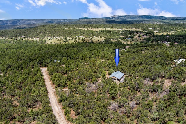 109 Carolino Canyon Rd, Tijeras, NM 87059 - photo 35
