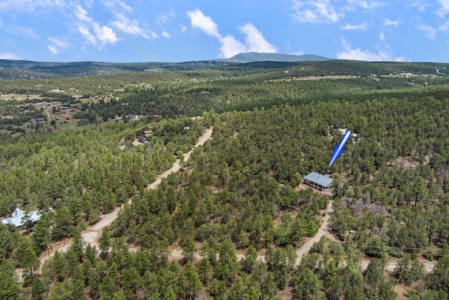 109 Carolino Canyon Rd, Tijeras, NM 87059 - photo 34