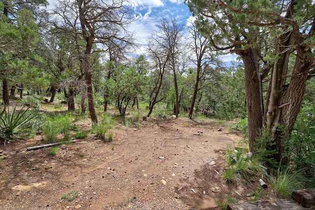 109 Carolino Canyon Rd, Tijeras, NM 87059 - photo 30