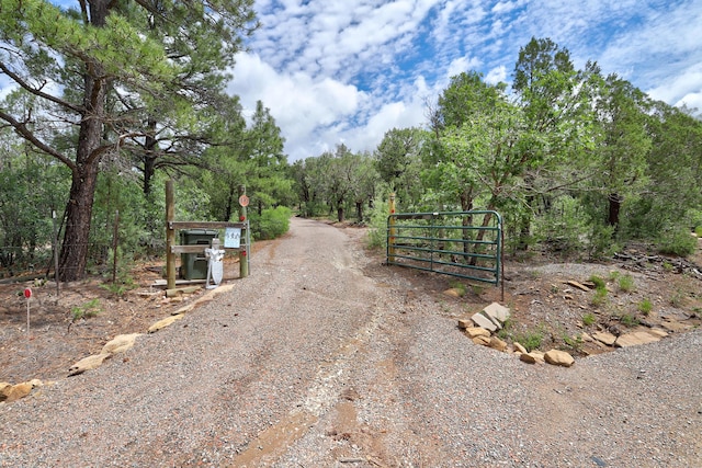 109 Carolino Canyon Rd, Tijeras, NM 87059 - photo 29