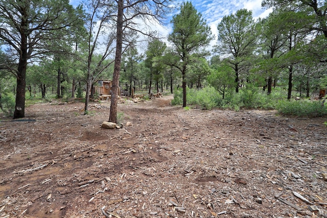 109 Carolino Canyon Rd, Tijeras, NM 87059 - photo 26