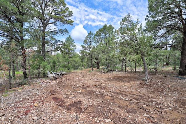 109 Carolino Canyon Rd, Tijeras, NM 87059 - photo 25