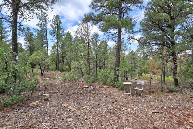109 Carolino Canyon Rd, Tijeras, NM 87059 - photo 24