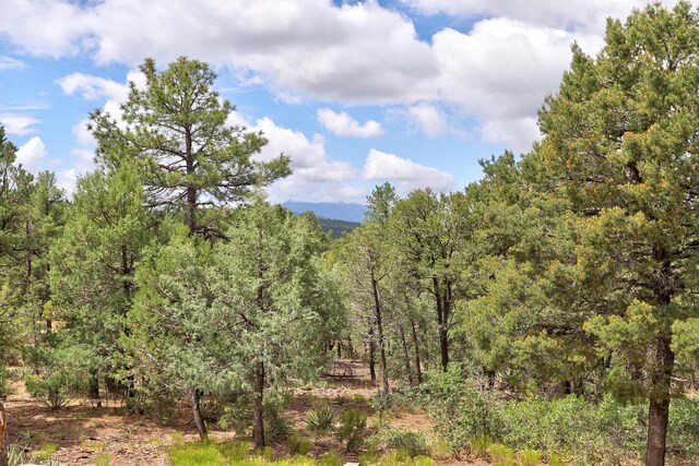109 Carolino Canyon Rd, Tijeras, NM 87059 - photo 22