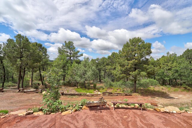 109 Carolino Canyon Rd, Tijeras, NM 87059 - photo 21