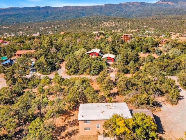 40 Mulberry Loop, Cedar Crest, NM 87008 - aerial view of a mountainous background