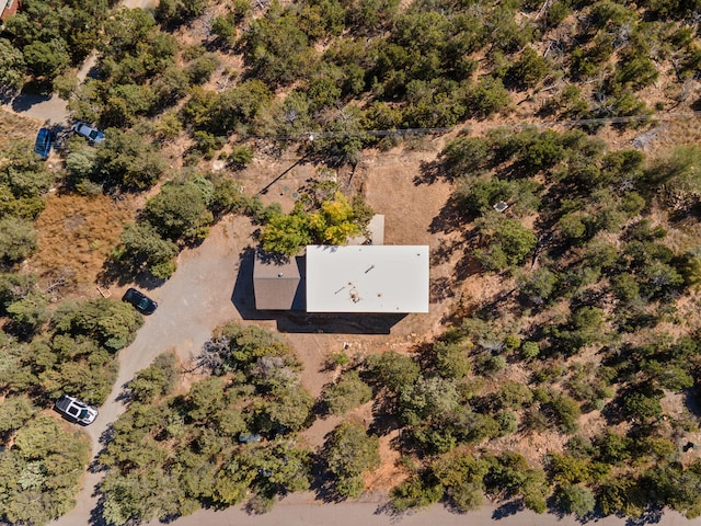 40 Mulberry Loop, Cedar Crest, NM 87008 - drone / aerial view