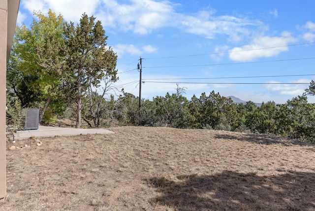 40 Mulberry Loop, Cedar Crest, NM 87008 - view of yard